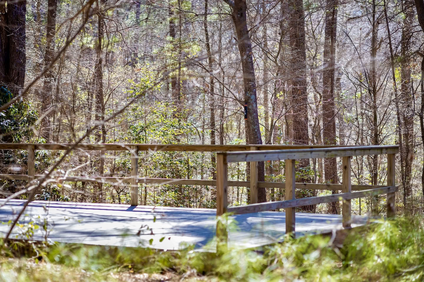 Mindfulness-retreater