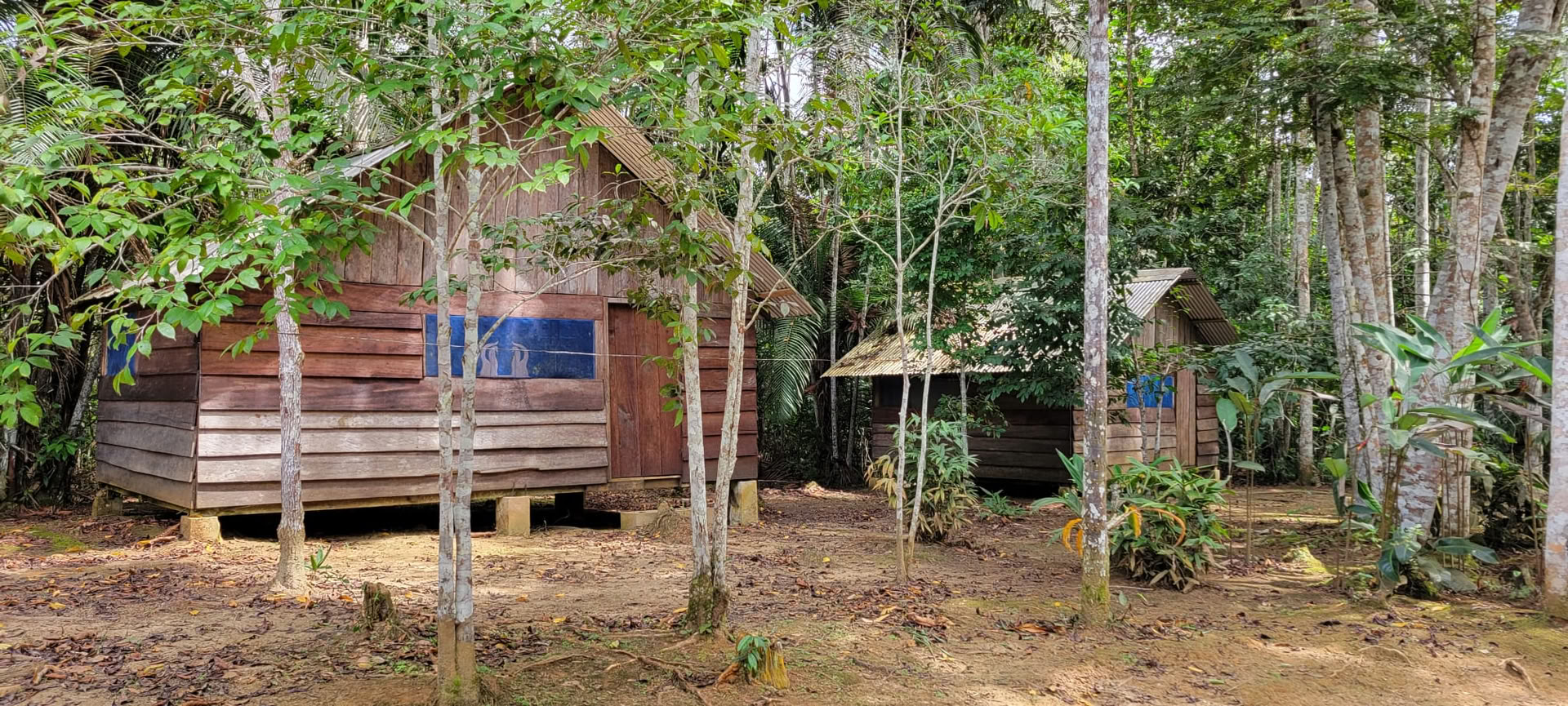 Ayahuasca-retreat i Iquitos