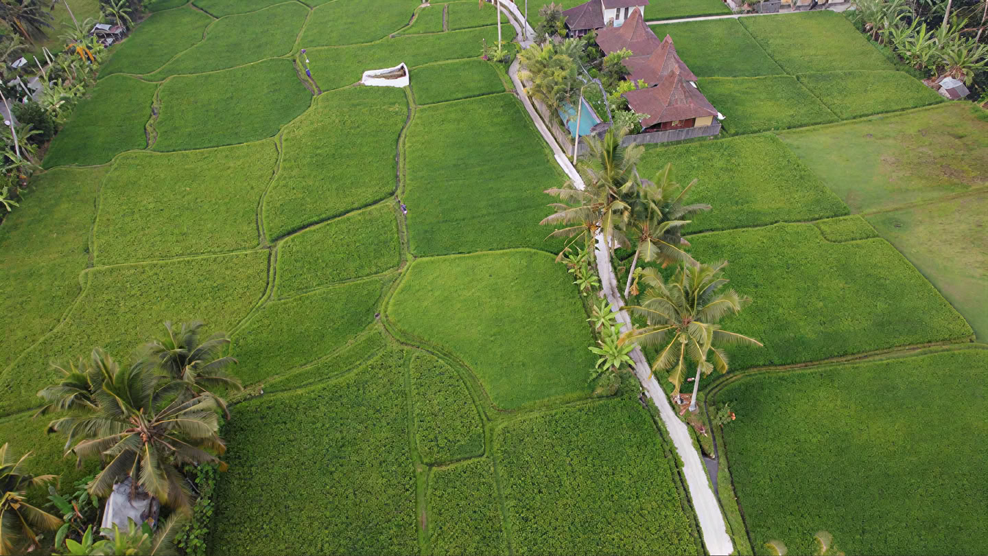 Din vecka på en yogaretreat på Bali