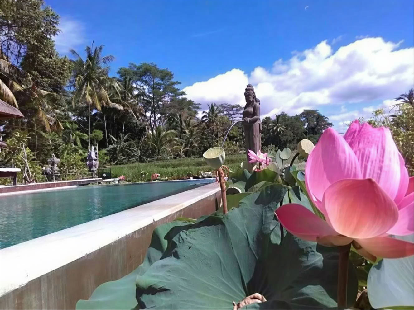 Din vecka på en yogaretreat på Bali