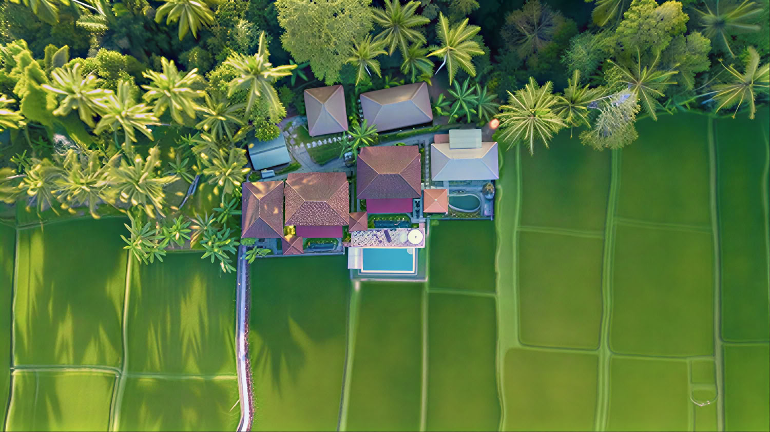 Oförglömlig 7-dagars yogaretreat på Firefly Retreat Bali