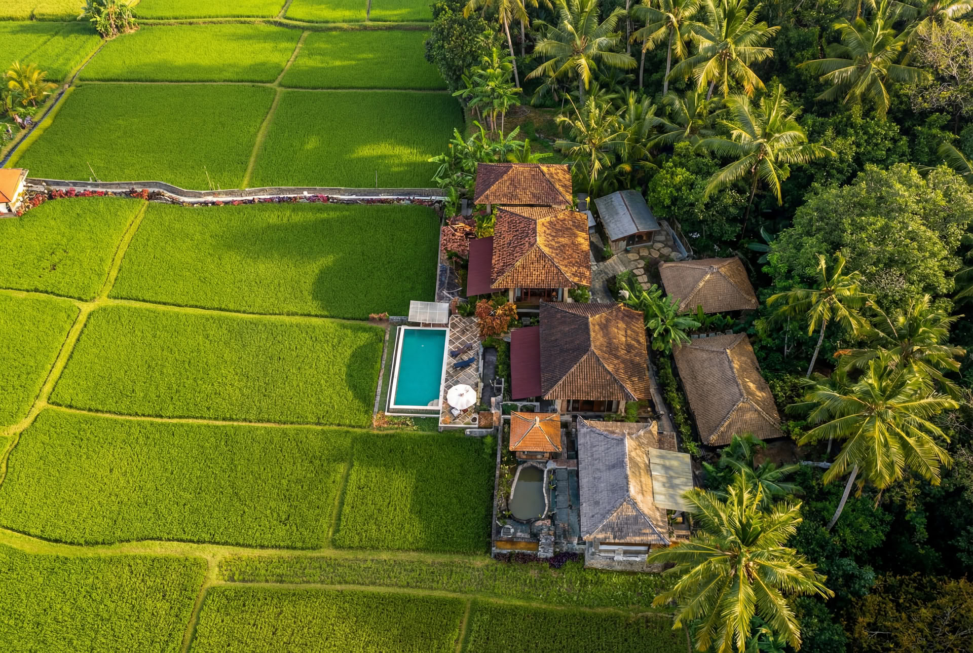 Oförglömlig 7-dagars yogaretreat på Firefly Retreat Bali