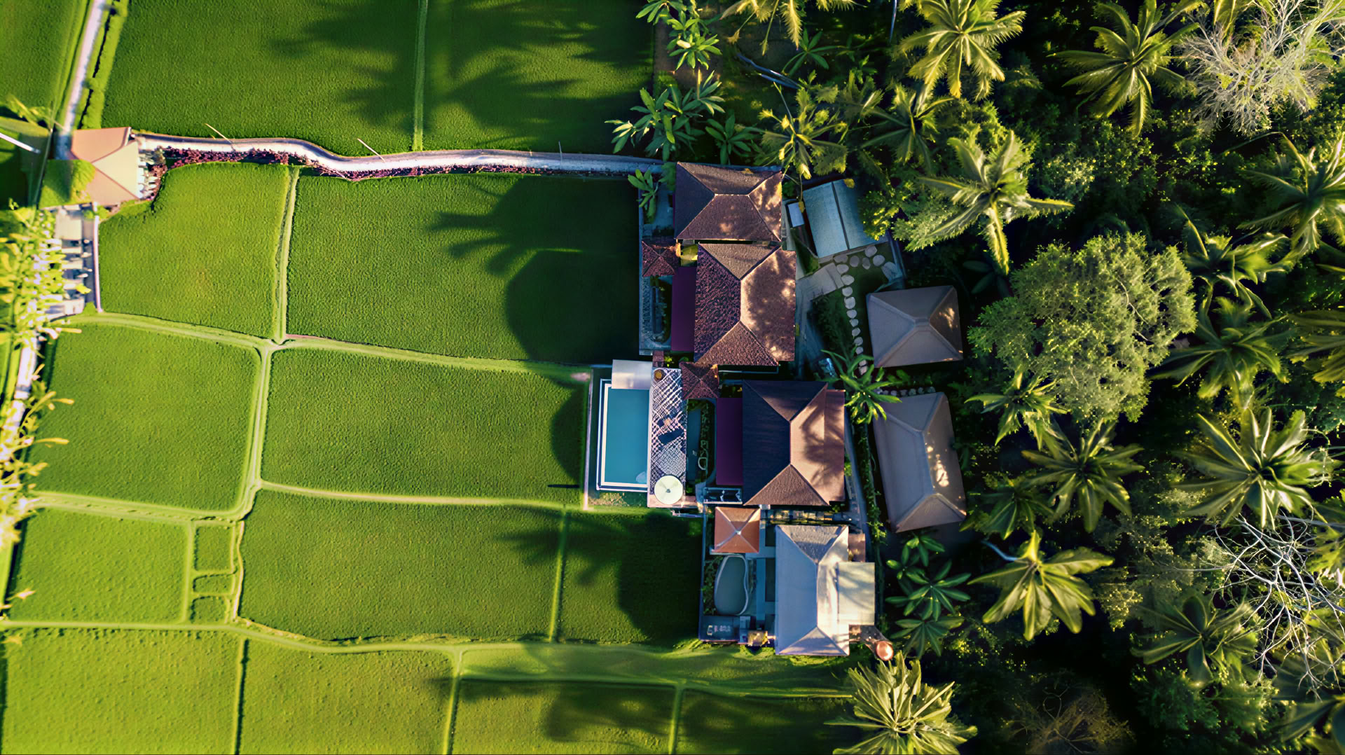 Oförglömlig 7-dagars yogaretreat på Firefly Retreat Bali