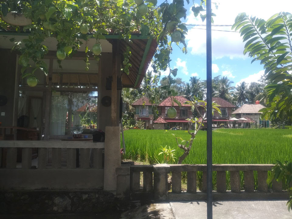 Oförglömlig 7-dagars yogaretreat på Firefly Retreat Bali