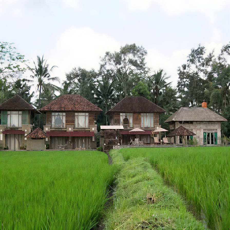 Oförglömlig 7-dagars yogaretreat på Firefly Retreat Bali
