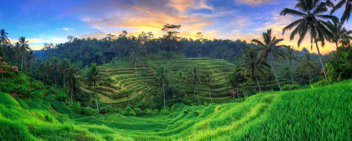 Oförglömlig 7-dagars yogaretreat på Firefly Retreat Bali