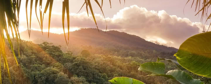 Corcovado 1-dagstur