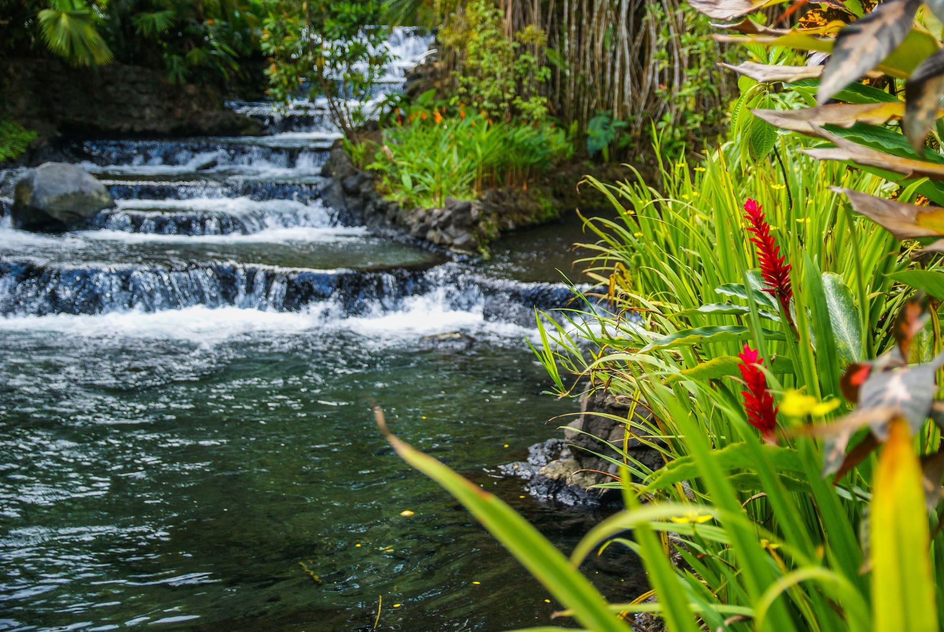 Yogaretreat i bergen