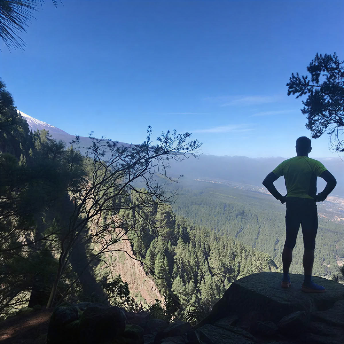 5 dagar och 4 nätter från 1435 € Yoga- eller meditations- och välmåendepaus på norra Teneriffa