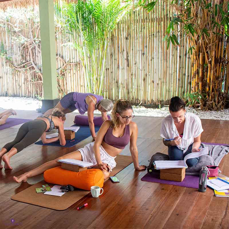 110 timmars anatomi- och vinyasa yogalärarutbildning