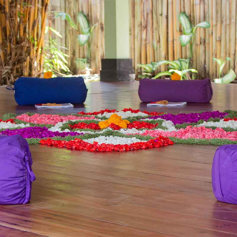 110 timmars anatomi- och vinyasa yogalärarutbildning