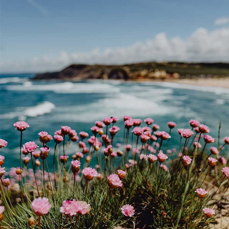 10 dagars 9 nätters yogaretreatpaket