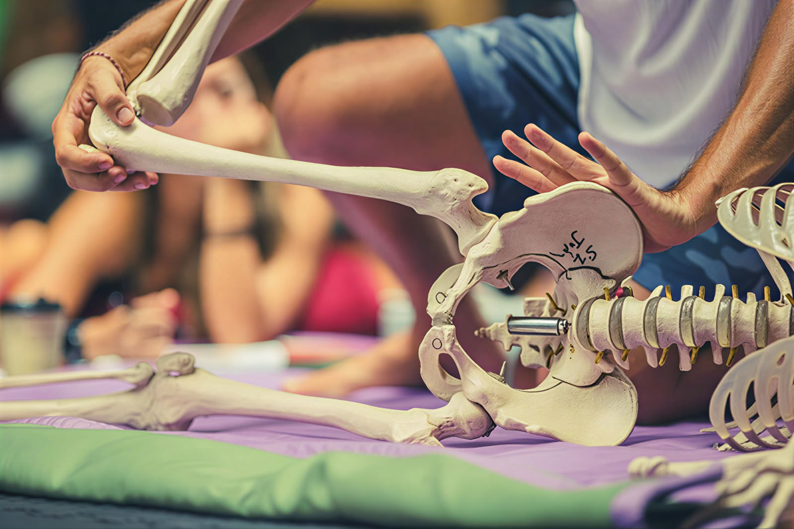 Fasciauniversum 125 timmars avancerad yoga- och somatisk utbildning