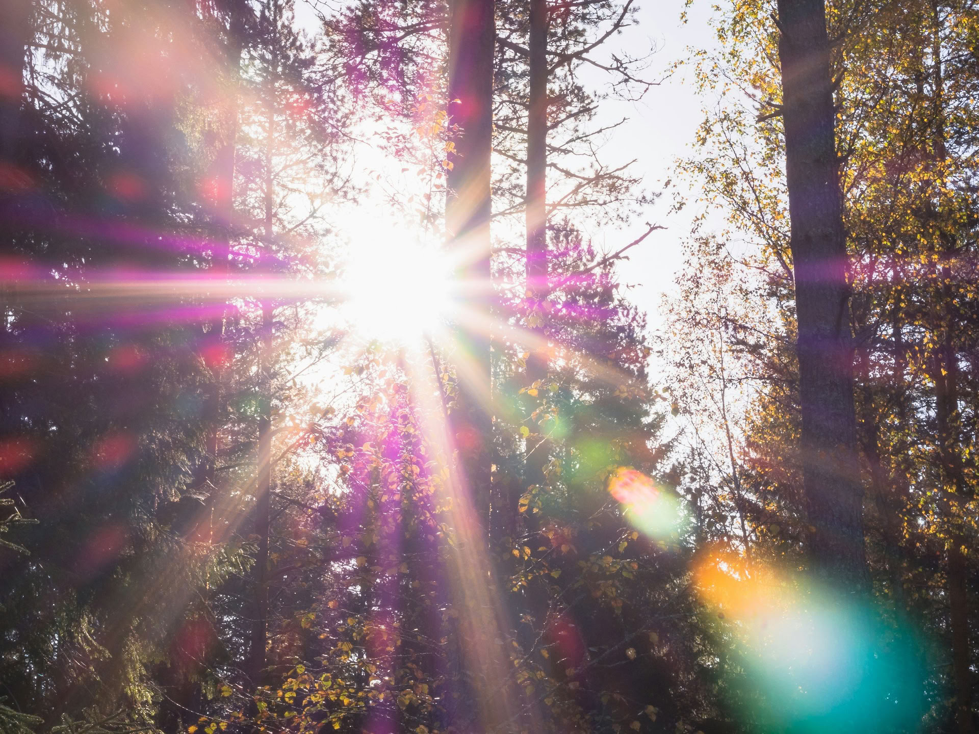 Systertalk Retreats - SENT SOMMARGLOW: Mineral-/naturelementsretreat — Wild Nature Retreats