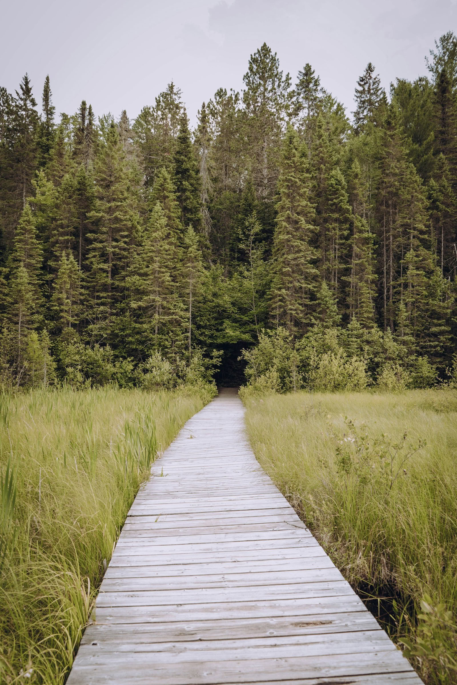 ForREST Retreat: Sommaravmattning — Vild natur-retreater