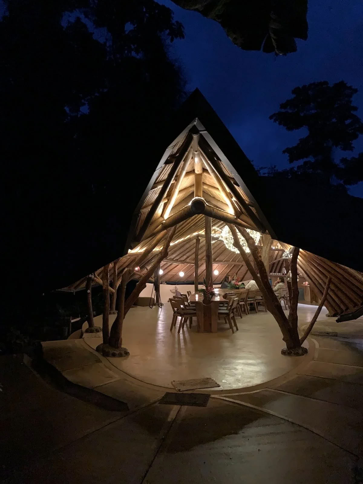 IPSALU Tantra Kriya Yoga I nivå 2 Kobrabreath — Brave Earth