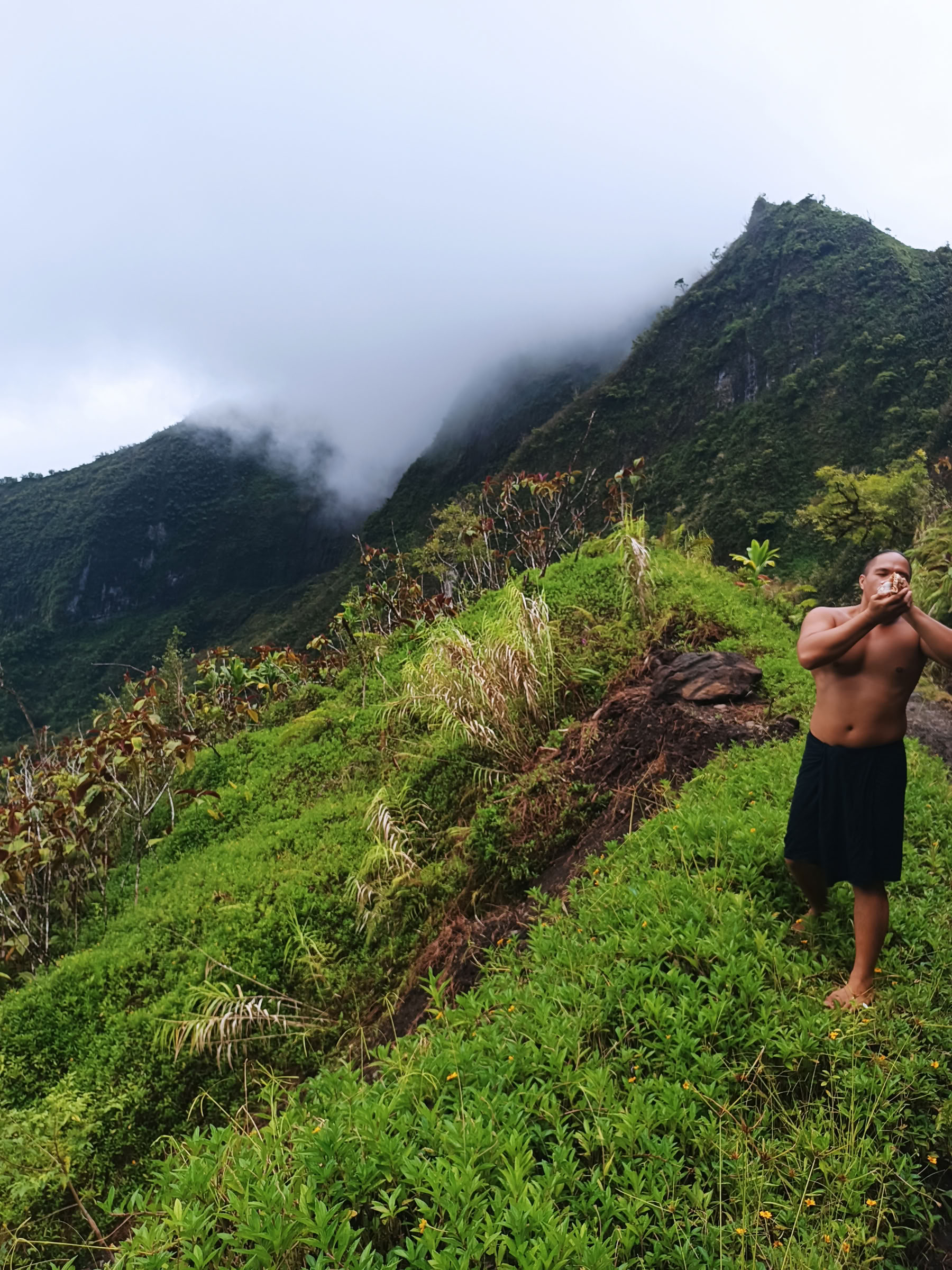 Te Mana Nui Safari-tur