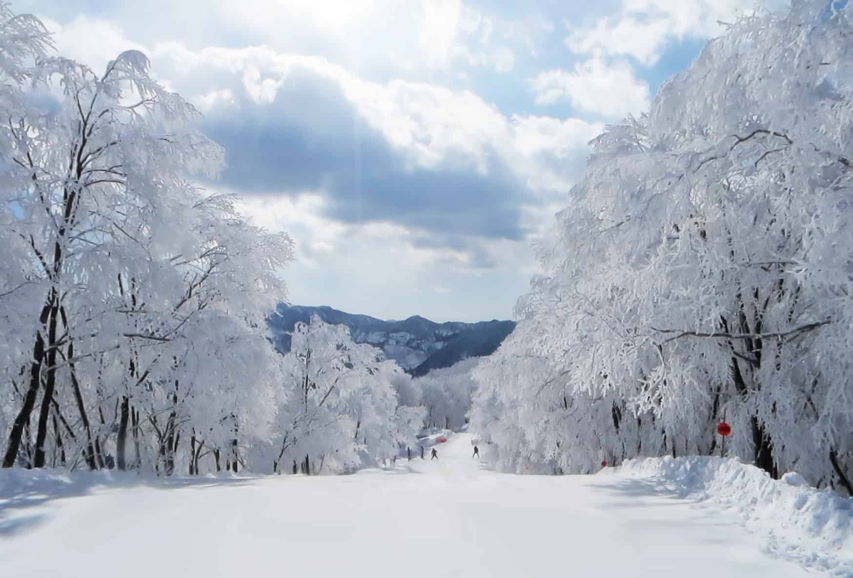Snödessans retreat
