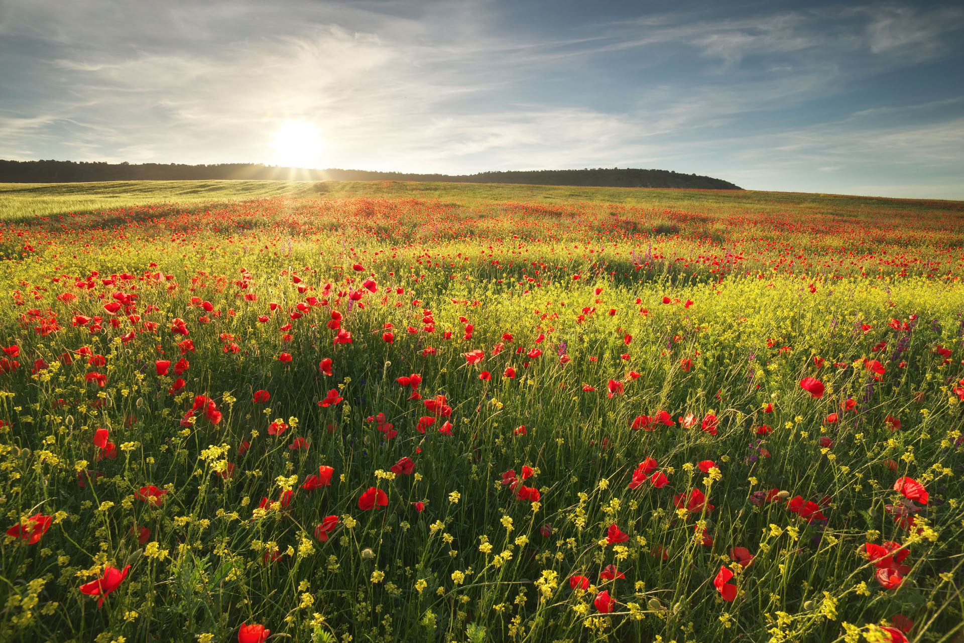 Hälsosam hjärtåterställning: En väg till välbefinnande