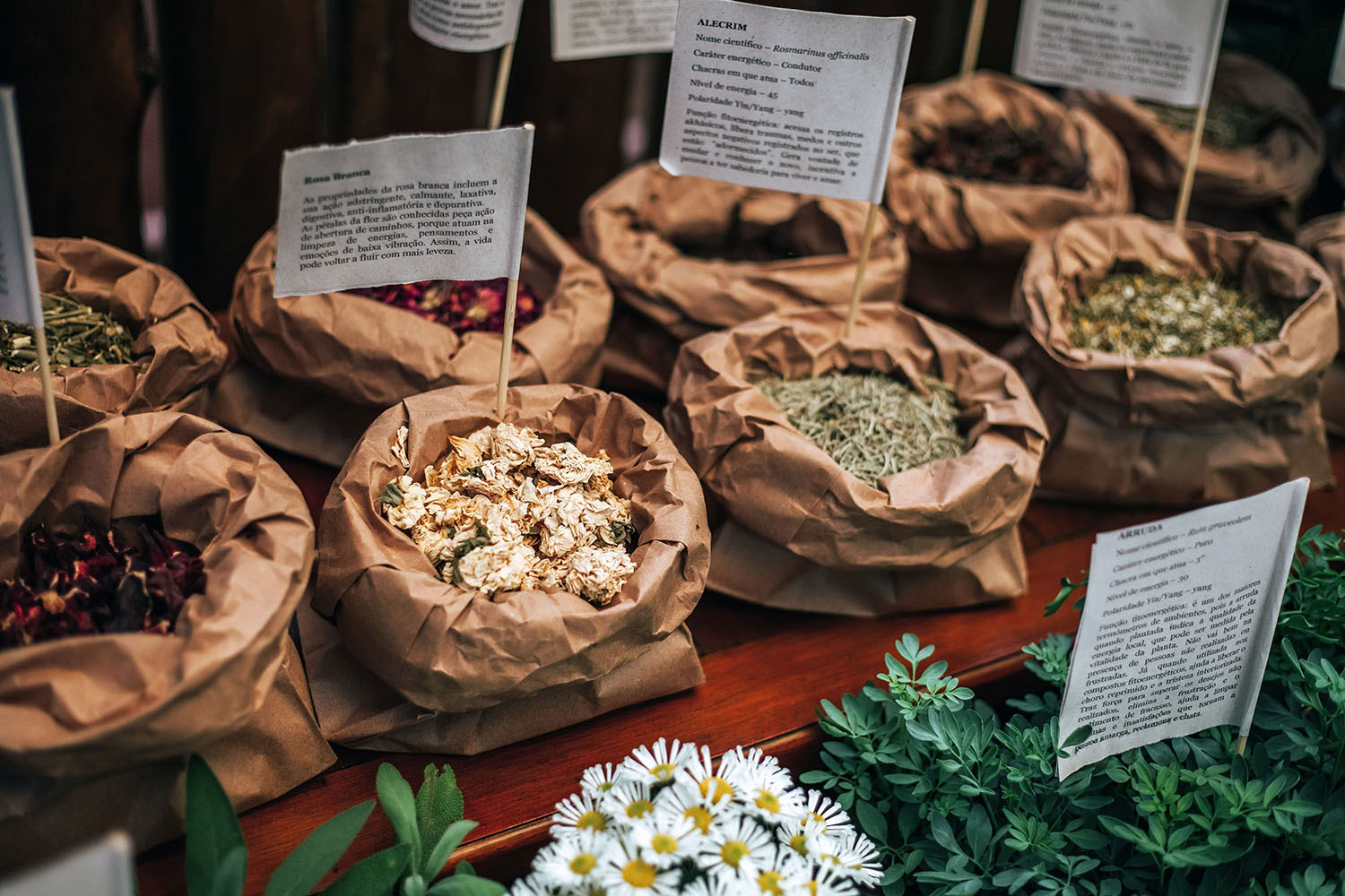 Terapeutisk upplevelse: Själ i ro