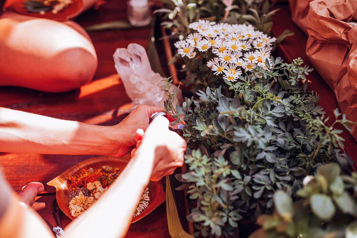 Phoenix Retreat – Kraften finns inom dig