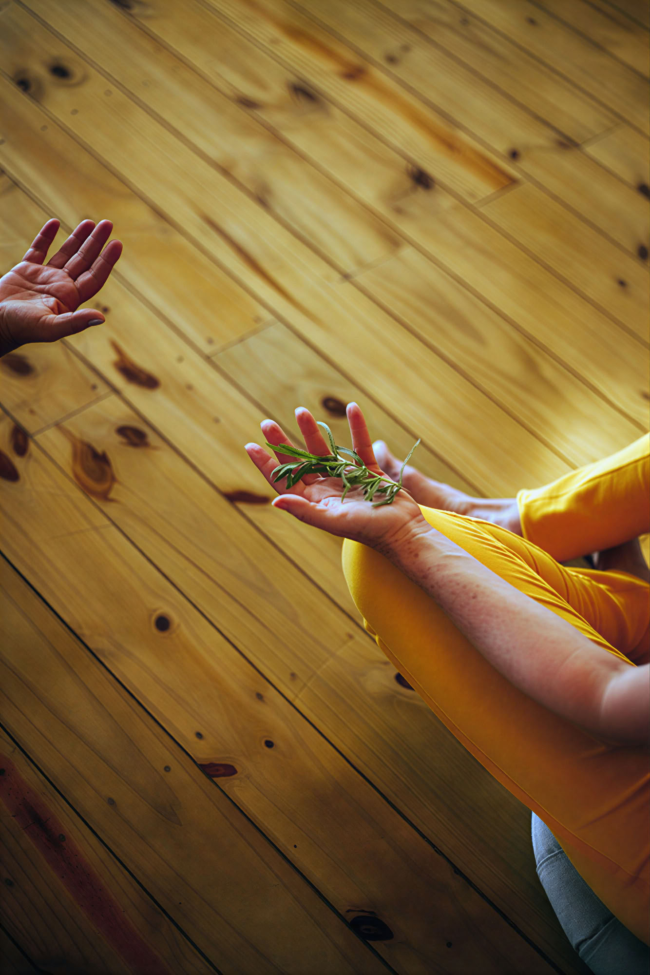 Phoenix Retreat – Kraften finns inom dig