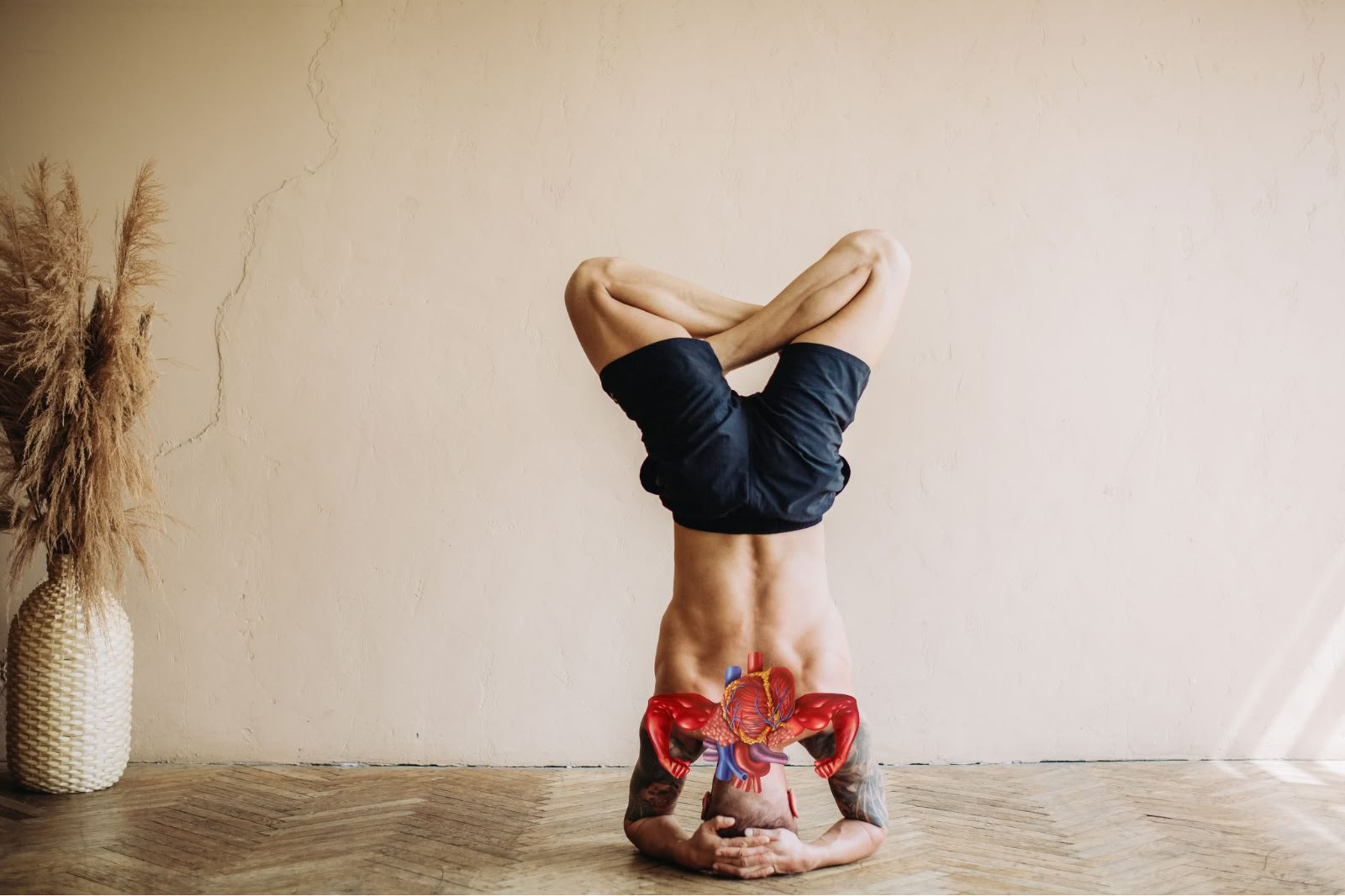 Yogaterapi för andningshälsa (Cardio-Breath Fusion)