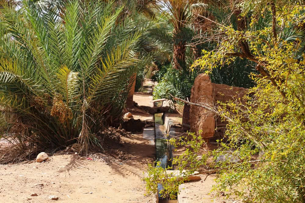 4 dagars rundresa från Casablanca till Marrakesh via öknen