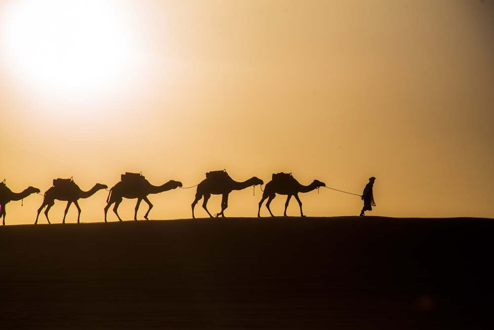 4 dagars rundresa från Casablanca till Marrakesh via öknen