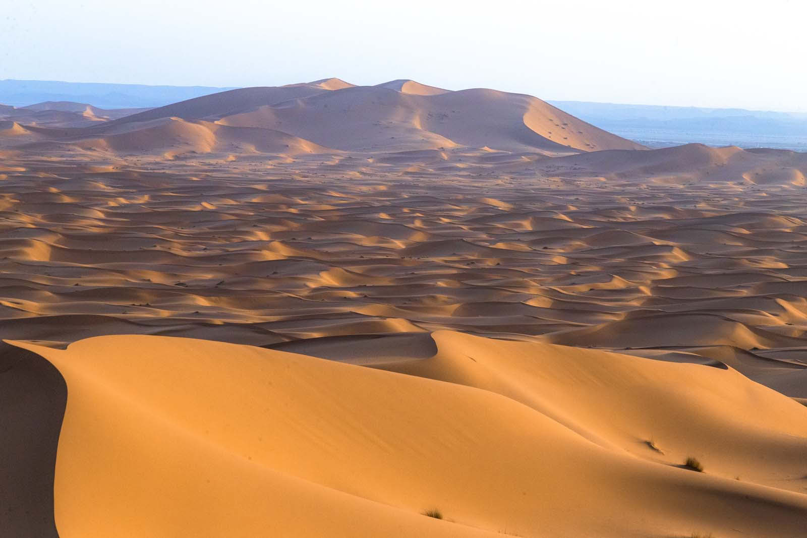 4 dagars rundresa från Casablanca till Marrakesh via öknen