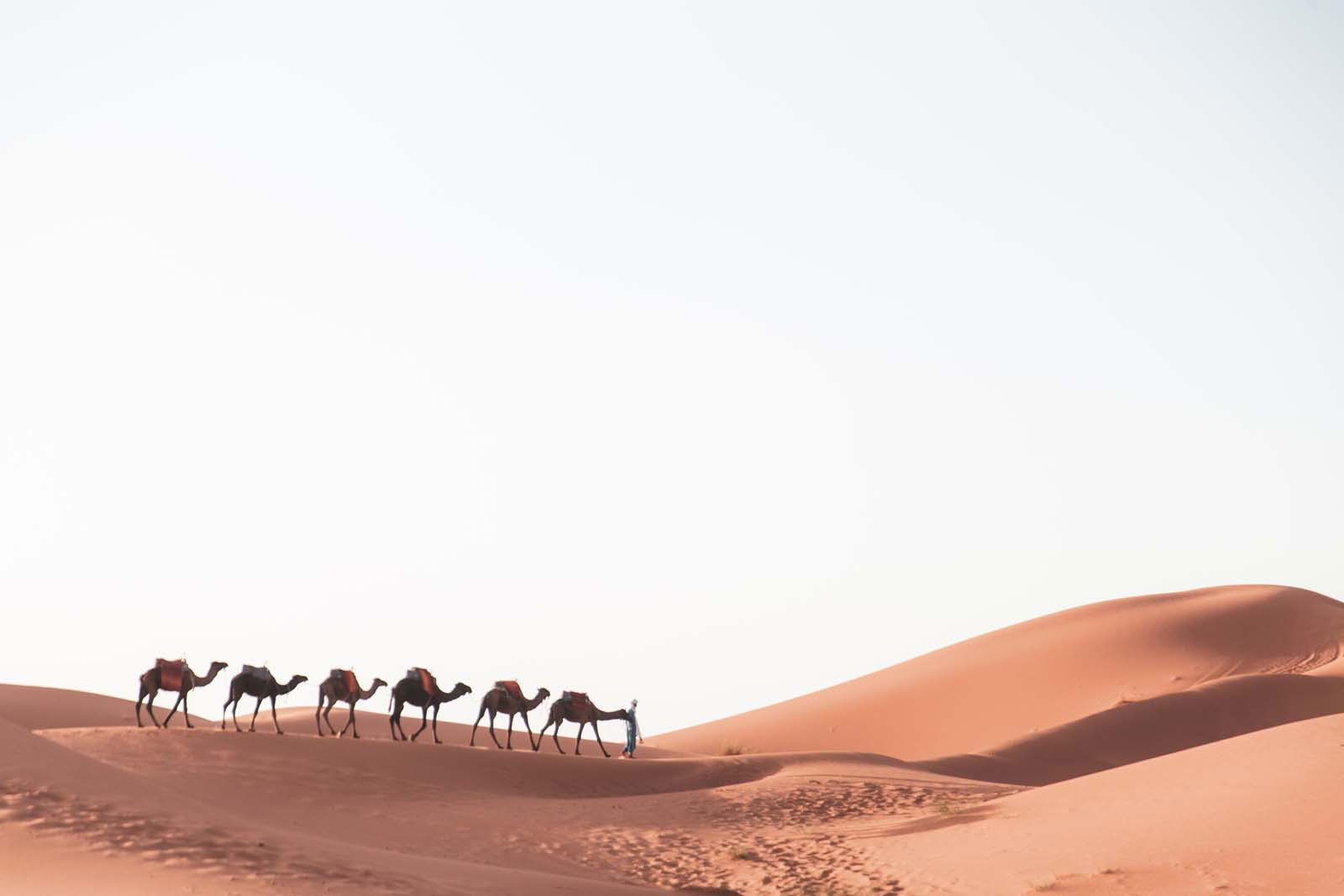 5 dagar – Rundresa från Marrakesh till Fes via Saharaöknen