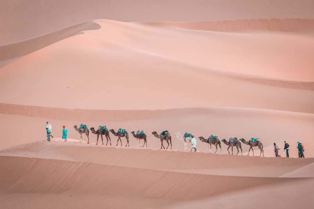 5-dagars tur till öknen och tillbaka till Marrakesh från Marrakesh