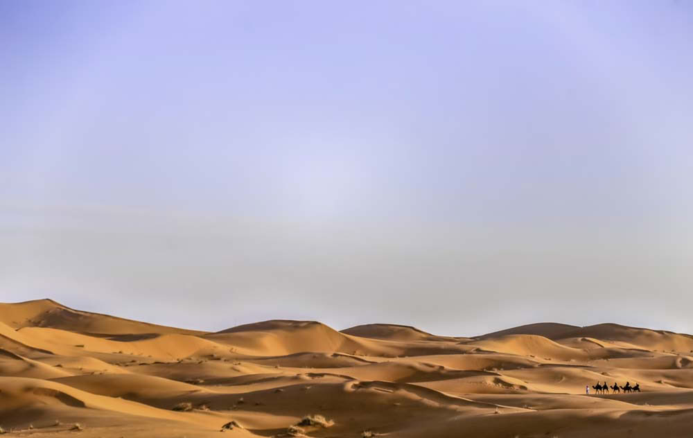5 dagar – Rundresa från Marrakech till Saharaöknen via Zagora