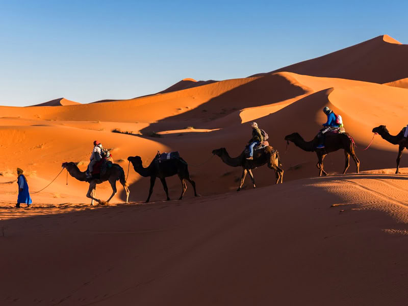5 dagars rundresa från Casablanca till Chefchaouen