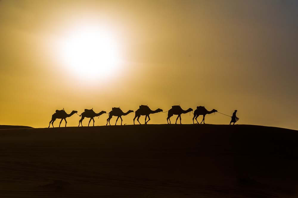 5 dagars resa från Casablanca till Fes via öknen
