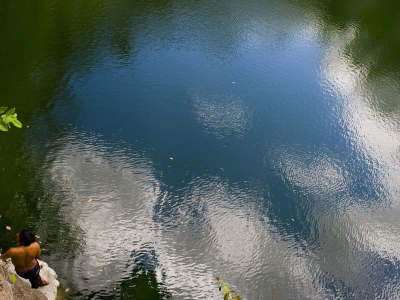 Botanisk trädgård och privat cenote