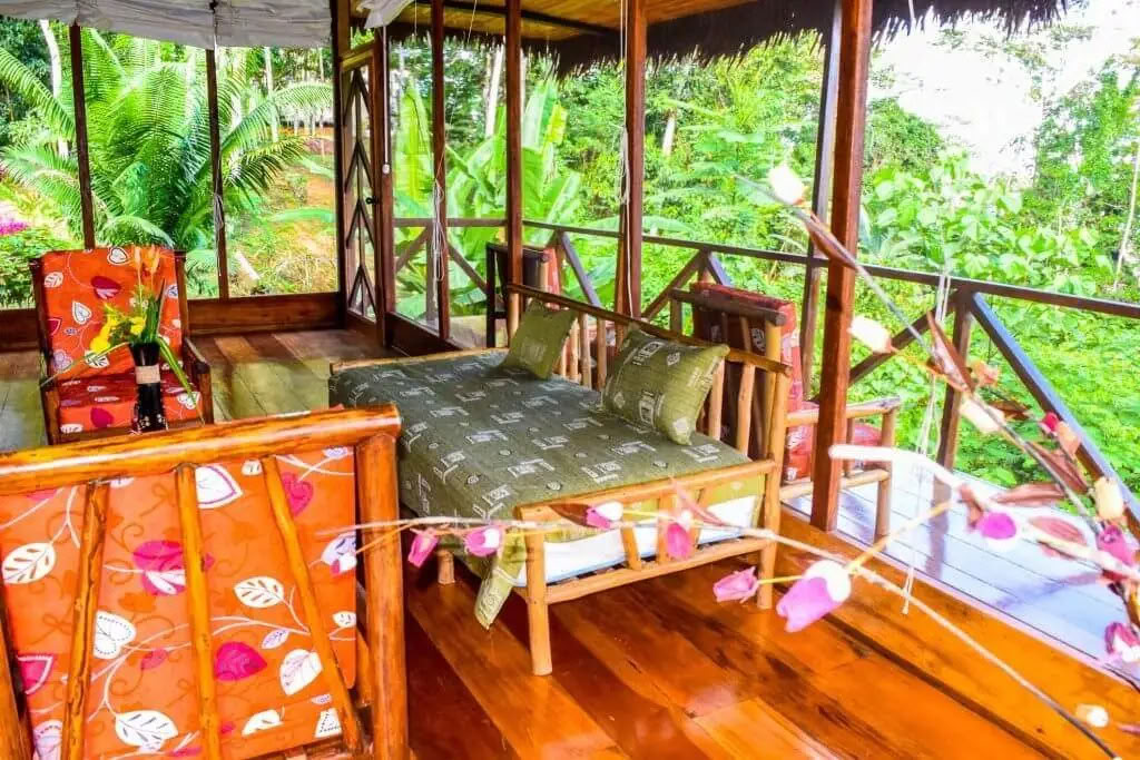 5 dagars ayahuasca- och San Pedro-retreat