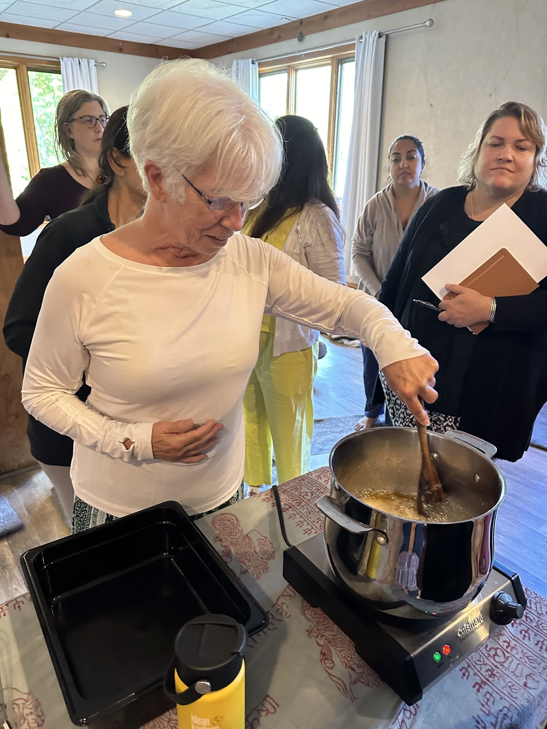 220-timmars grundutbildning i ayurveda
