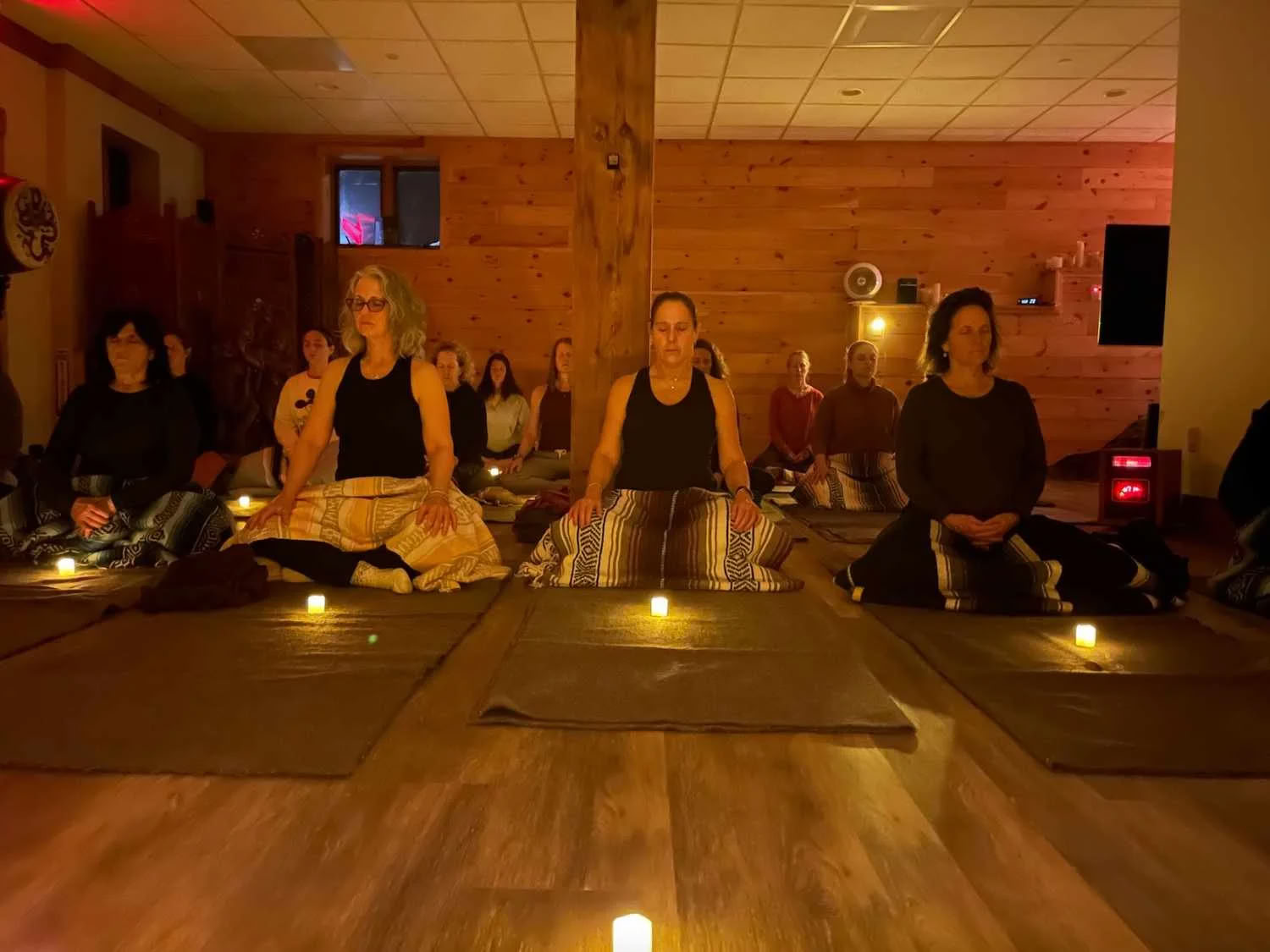 220-timmars grundutbildning i ayurveda