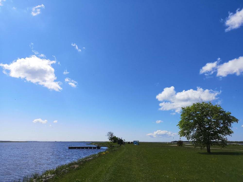 Andlig naturretreat för att släppa vanor