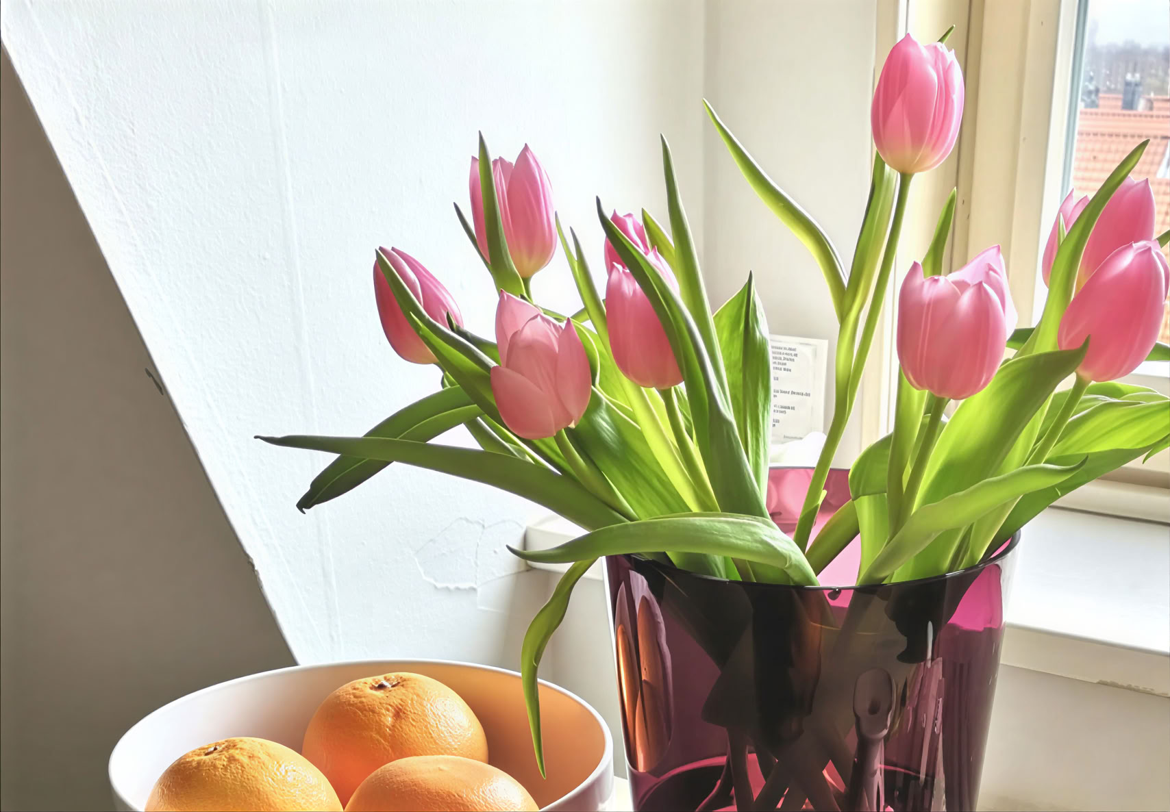 21-dagars privat psilocybinmikrodoseringsretreat i Amsterdam