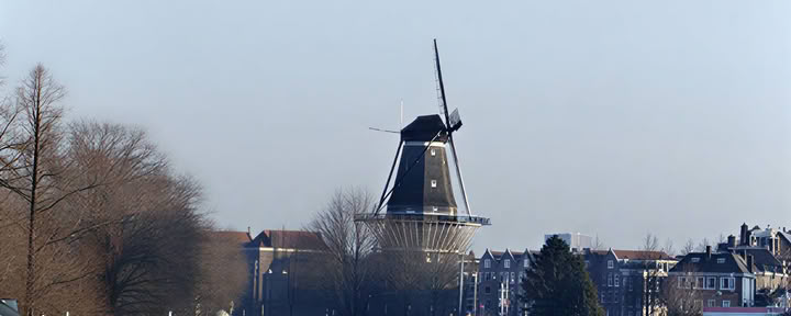21-dagars privat psilocybinmikrodoseringsretreat i Amsterdam
