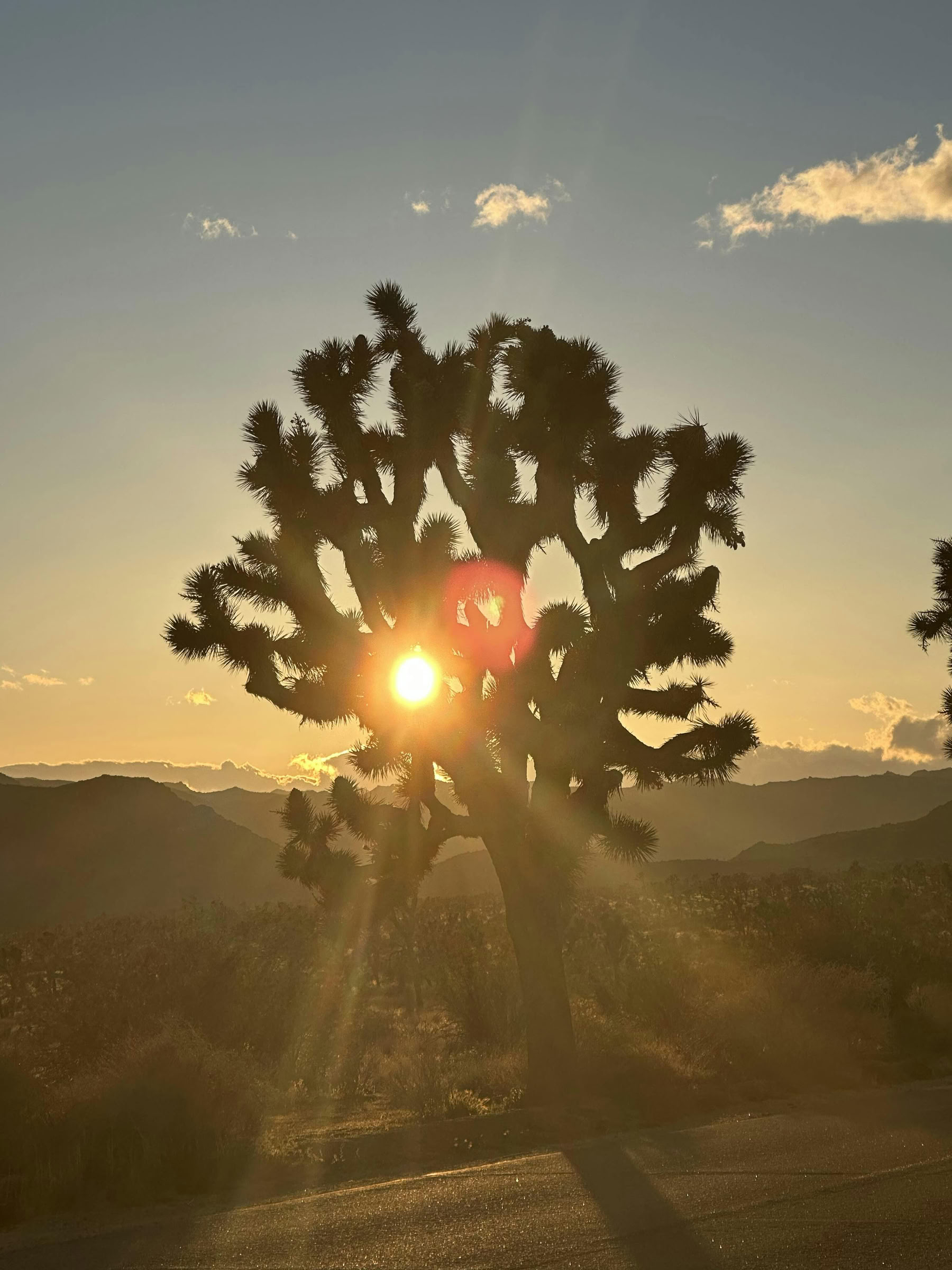 Ökenläkande andningsövningsupplevelse - Palm Springs