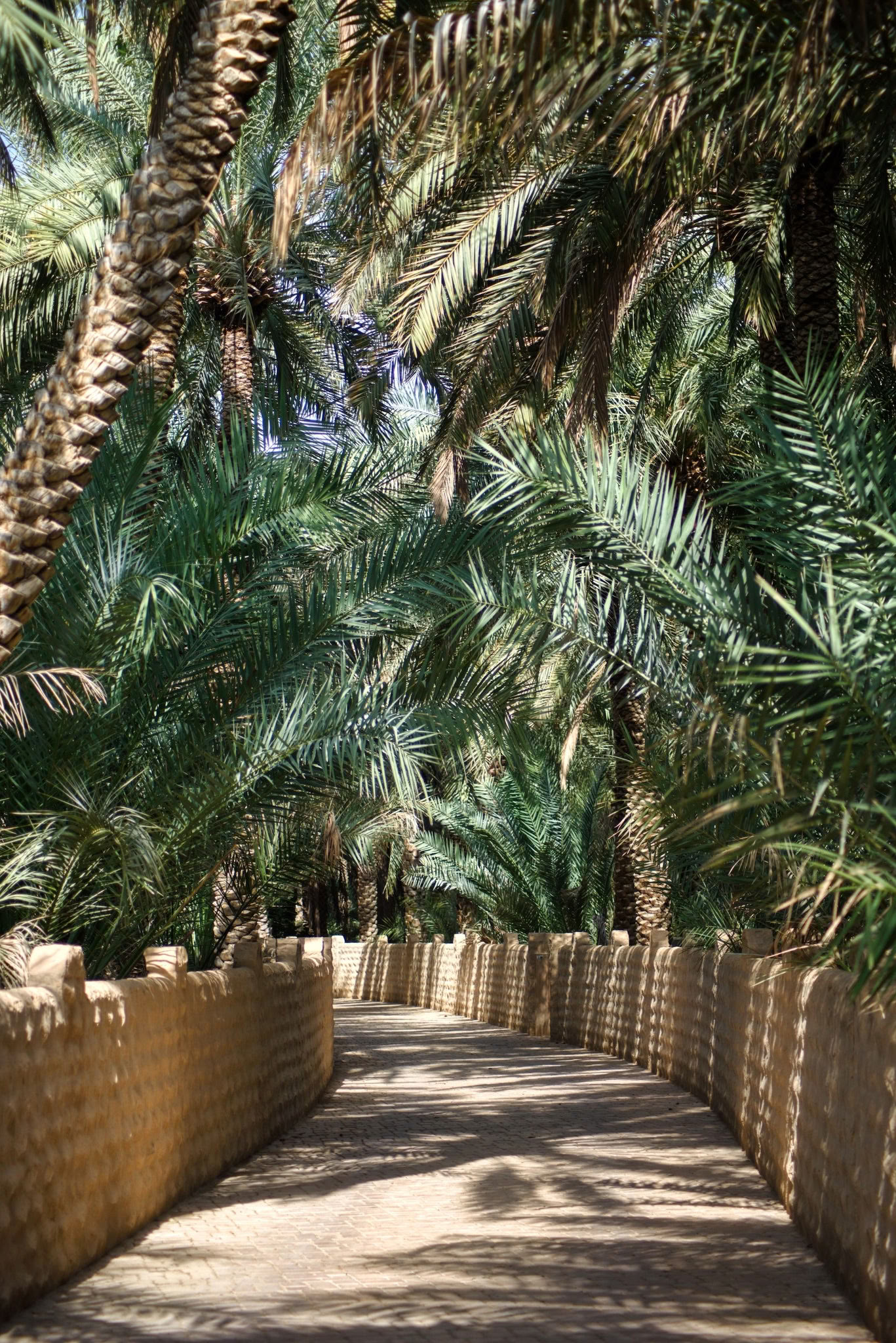 Ledarnas samstämningsupplevelse - Palm Springs