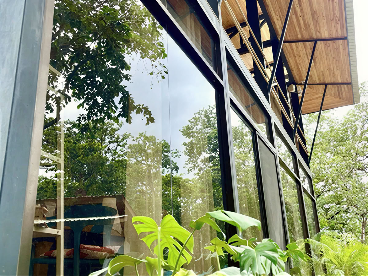 Ayurvedisk läkningsretreat