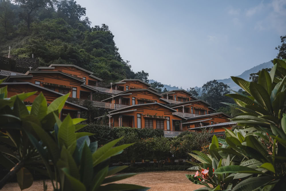 300-timmars yogalärarutbildning i Rishikesh – 20 jan. – 18 feb. 2027