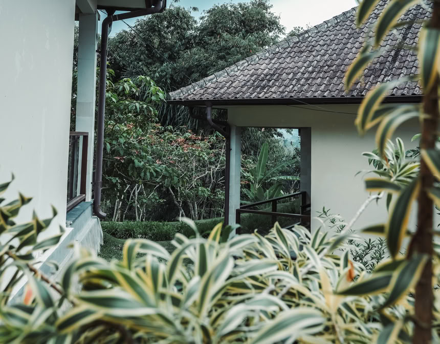 200-timmars YTT i Pelaga, Bali – 26 okt. – 14 nov. 2026