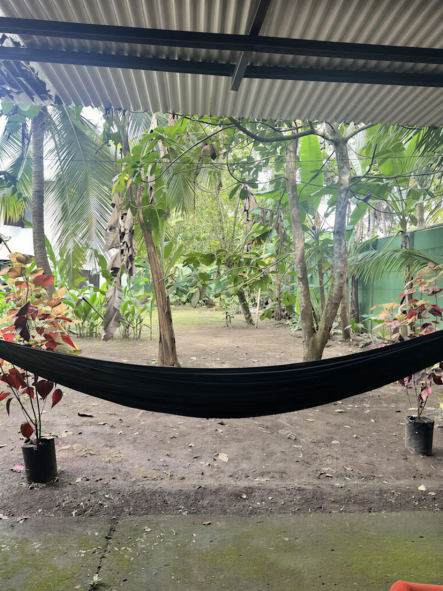 Shipibokulturens resa