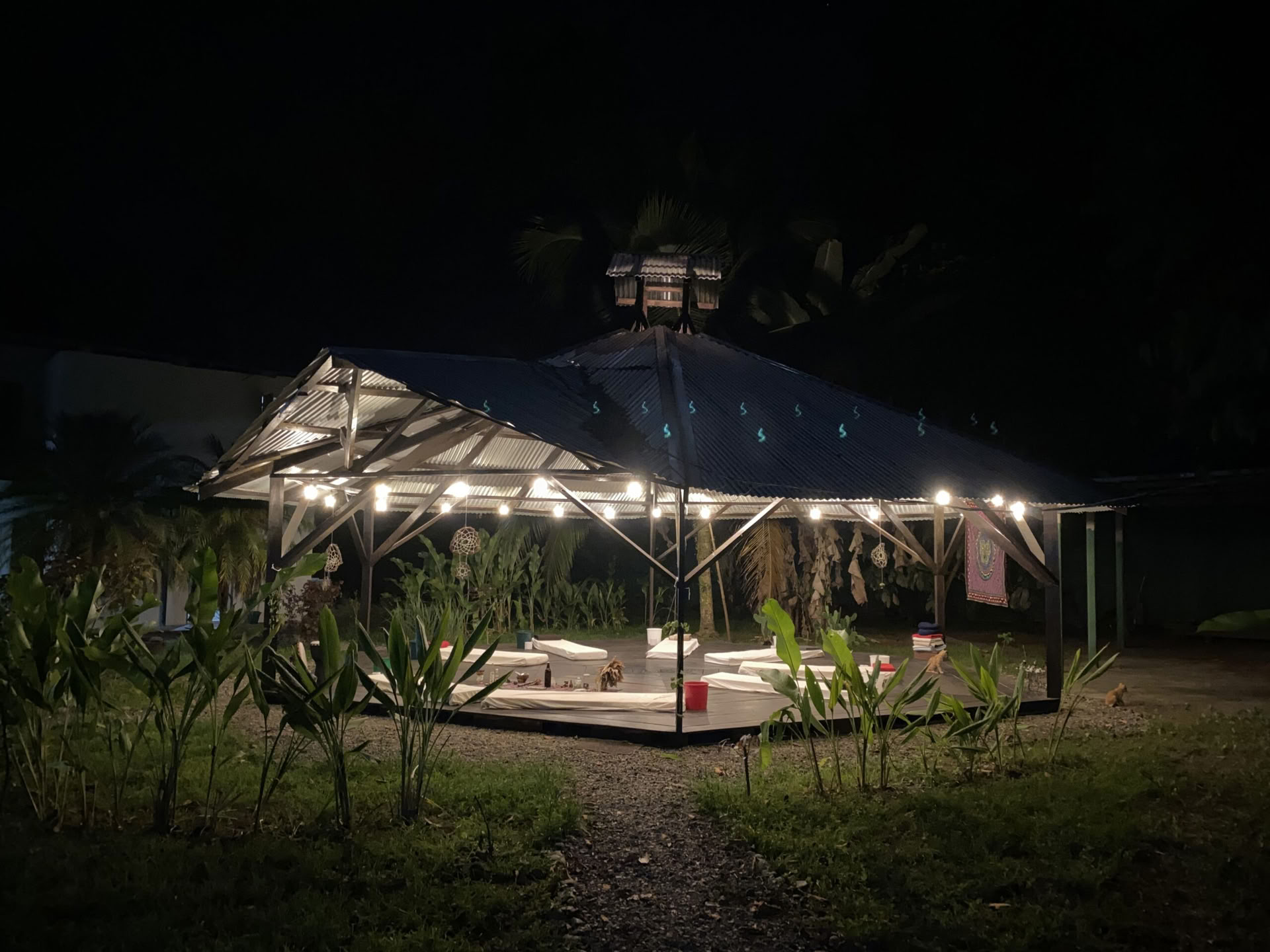 Hemligt fristad Ayahuasca-retreat – 19–26 september