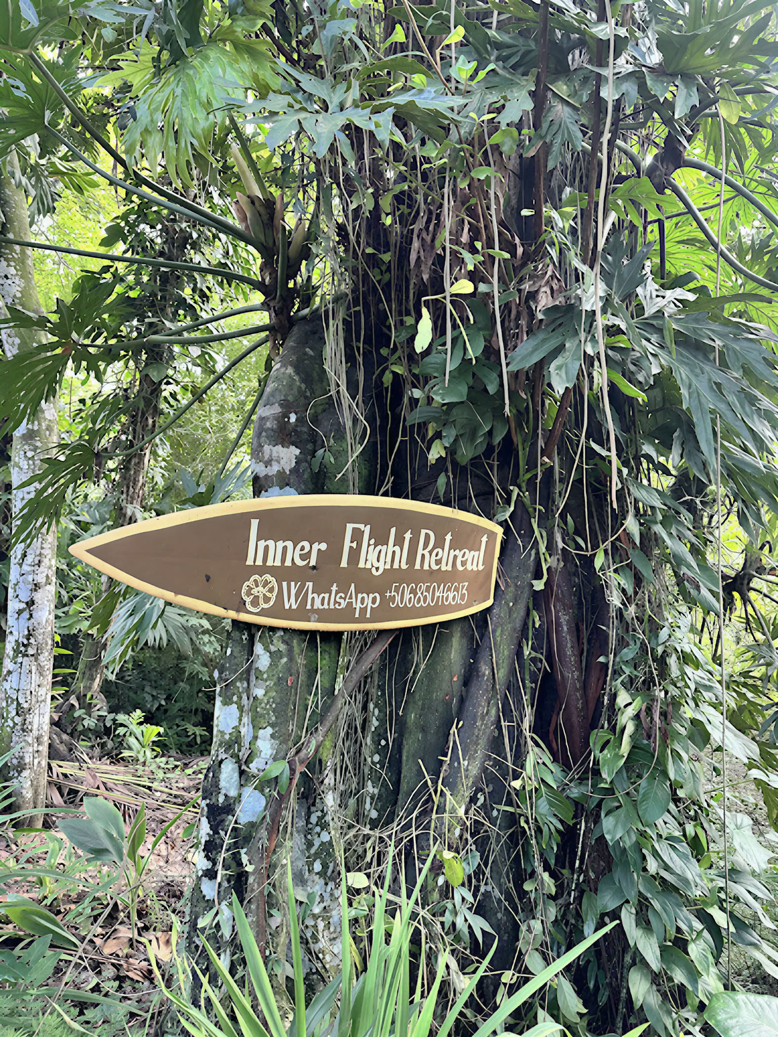Hemlig tillflyktsplats Ayahuasca-retreat – 21–28 november